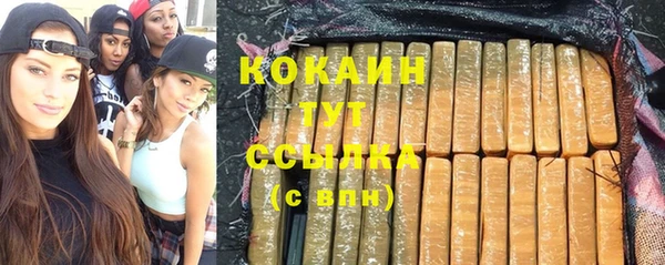 стаф Нея