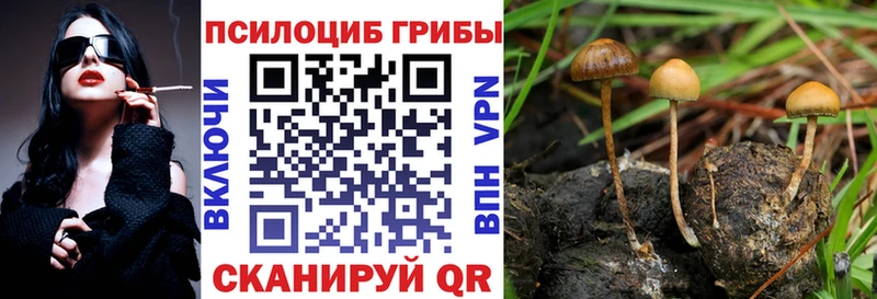 Псилоцибиновые грибы прущие грибы  магазин продажи наркотиков  Мурманск 
