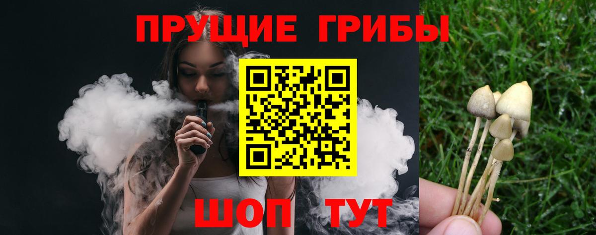 Галлюциногенные грибы Cubensis  Вход с VPN  Галлюциногенные грибы Psilocybe  Мурманск 