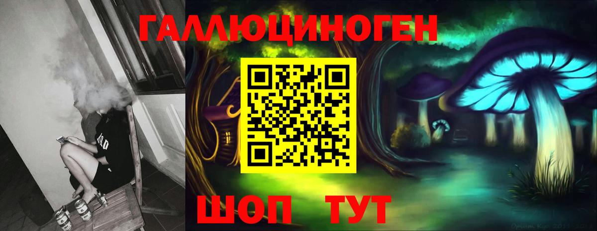 Псилоцибиновые грибы Psilocybe Мурманск